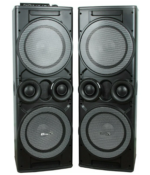 Акустическая колонка ELTRONIC 12" 20-06 TWIN BOX 110 Вт, черный (2 колонки)