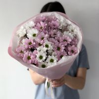 7 бело-розовых хризантем в красивой упаковке