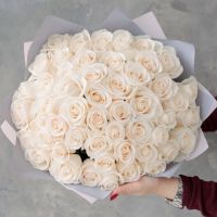 51 белая роза (Эквадор 70см)