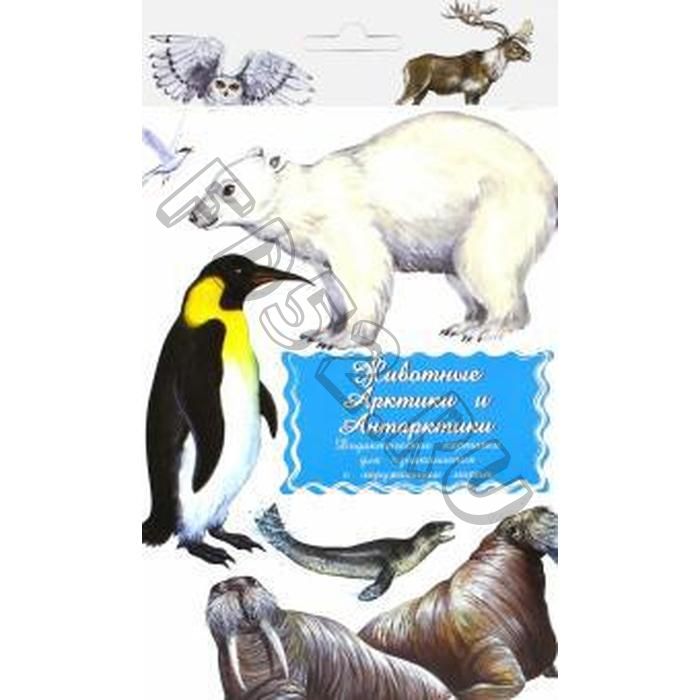 Животные Арктики Антарктики
