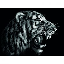 Набор для творч.Три Совы картина по номерам 30х40 акр.краски "Монохромный тигр" КК_44030