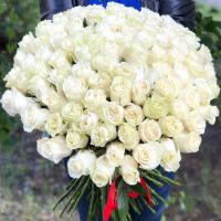101 белая роза 50 см Эквадор