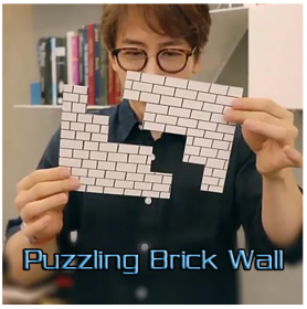 "Прохождение сквозь стену" - Puzzling Brick Wall