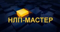 Мастер НЛП. Комплексное нейропрограммирование (Валерий Шелгинский, Светлана Горюнова)