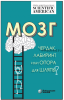 Мозг. Чердак, лабиринт или опора для шляпы (Хелен Барбас)