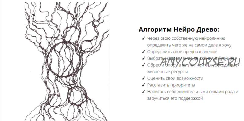 Нейро Древо - Кто Я (Ольга Нуржанова)