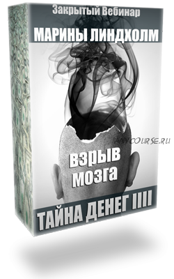 Тайны денег 4. Взрыв мозга (Марина Линдхолм)