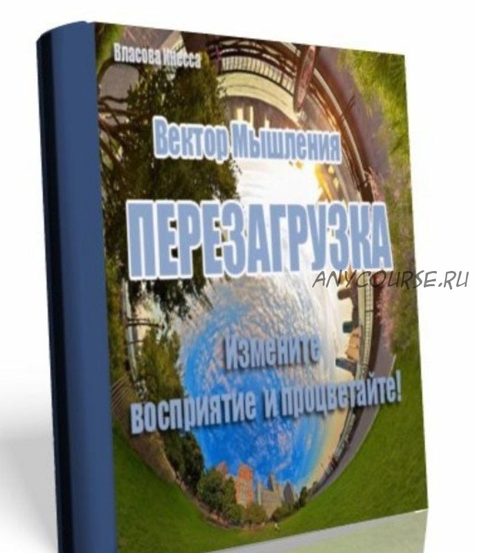 Вектор мышления. Перезагрузка (Инесса Власова)