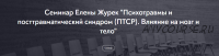 [МИП] Психотравмы и посттравматический синдром (ПТСР) . Влияние на мозг и тело (Елена Журек)