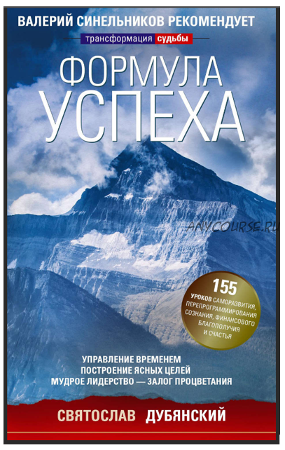 Формула успеха. Управление временем, построение ясных целей, мудрое лидерство (Святослав Дубянский)