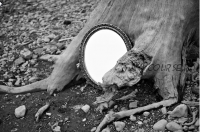 Магия зеркал (Алина Агида)