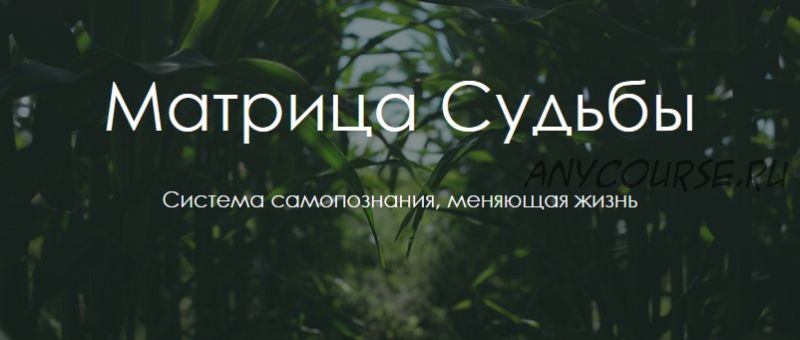 Матрица судьбы (Юлия Богацкая)