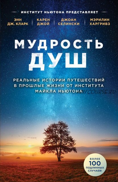 Мудрость душ. Реальные истории путешествий в прошлые жизни (Энн Дж. Кларк)