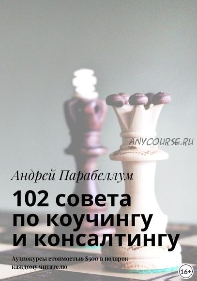 102 совета по коучингу и консалтингу. Аудиокурсы стоимостью $500 в подарок (Андрей Парабеллум)