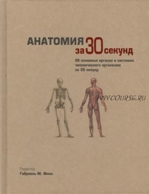 Анатомия за 30 секунд. Об основных органах и системах организма