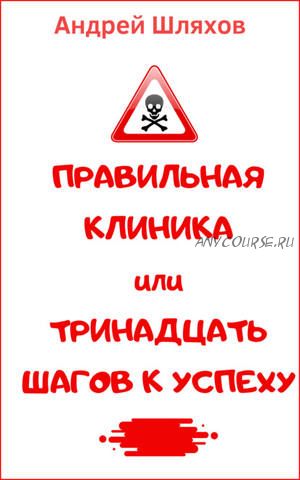 Правильная клиника, или 13 шагов к успеху (Андрей Шляхов)