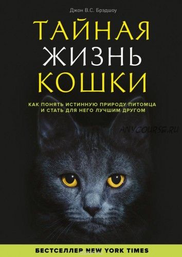 Тайная жизнь кошки.Как понять истинную природу питомца и стать для него лучшим другом (Джон Брэдшоу)