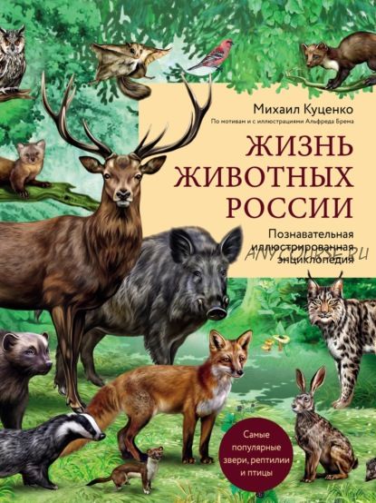 Жизнь животных России. Познавательная иллюстрированная энциклопедия (Михаил Куценко)