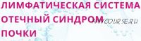 Лимфатическая система. Отечный синдром. Почки (Аркадий Бибиков)