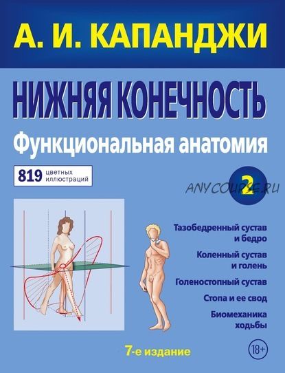 Нижняя конечность. Функциональная анатомия. Том 2 (Адальберт Капанджи)