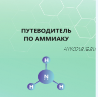 Путеводитель по аммиаку (Кристина Максимова)