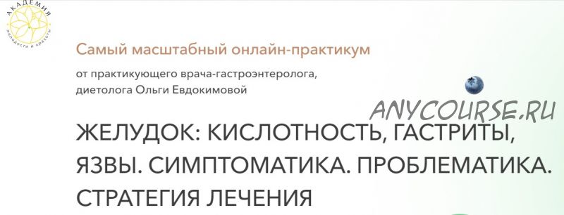 Желудок: кислотность, гастриты, язвы. Симптоматика. Проблематика. Тариф Экспресс (Ольга Евдокимова)