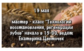 [Дерево жизни] Технологии восстановления, регенерации зубов и зубной ткани (Екатерина Цветочек)