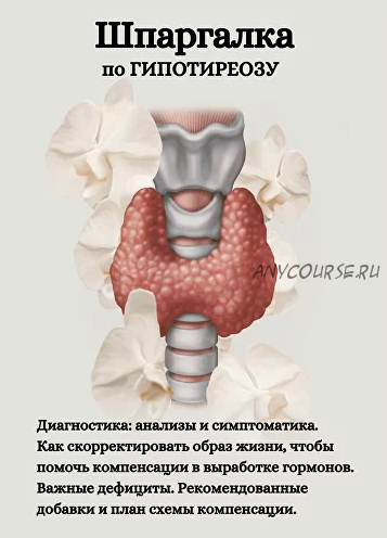 [kpuctakl] Шпаргалка по «Гипотиреозу» (Кристина Трофимова)