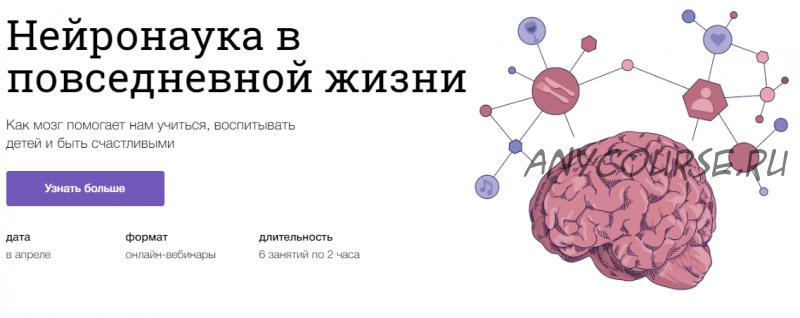 [Синхронизация] Нейронаука в повседневной жизни (Вячеслав Дубынин, Полина Кривых)