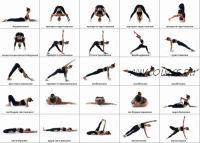 [Yoga-masters] Хатха йога. Динамический комплекс и ключевые асаны (Сергей Кулыгин)
