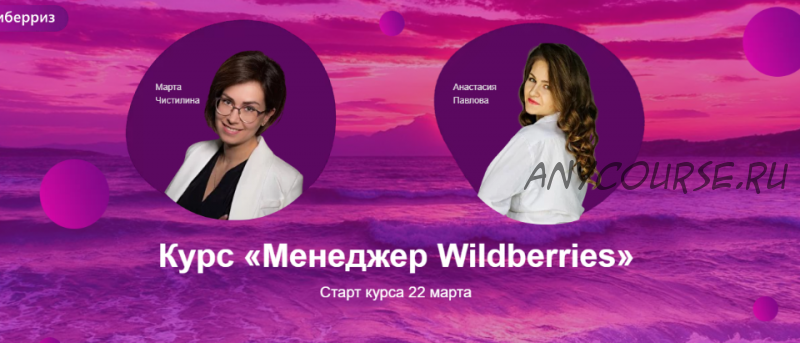 Менеджер Wildberries. Тариф Базовый (Марта Чистилина,Анастасия Павлова)