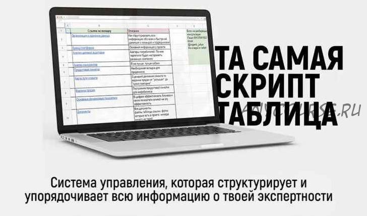 Скрипт-таблица управления экспертностью 2.0 + практикум (Юлия Бутенко)