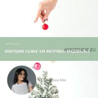 [mintpro.ru] Новогодние съемки, как инструмент продвижения (Lena Mint)