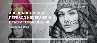 Adobe Photoshop: перевод изображений в чб и тонирование (Андрей Журавлёв)