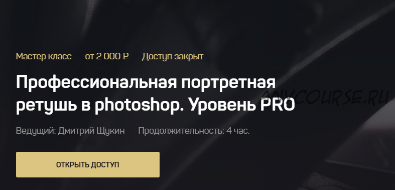 Профессиональная портретная ретушь в photoshop. Уровень PRO. Тариф - Standart (Дмитрий Щукин)