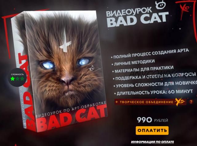 Создание арта: BadCat (Max Twain)