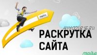 Как раскрутить сайт с нулевым бюджетом (Антон Дронов)