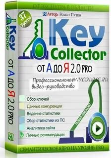 Key Collector: от А до Я 2.0, версия Pro (Роман Пятко)