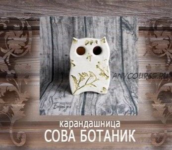 Карандашница «Сова-Ботаник». Имитация керамики (Оксана Павлова)