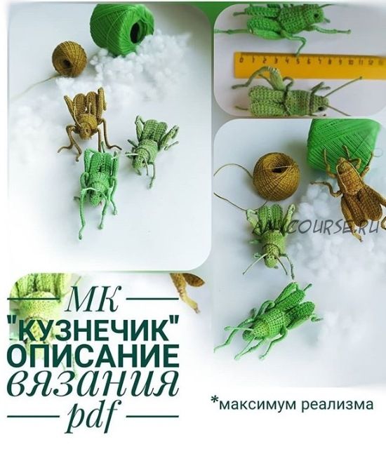 [malupasy_brooch] Кузнечик (Марина Филиппова)