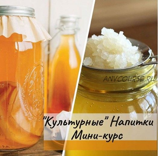 [mazaika] Культурные напитки мини-курс (Анна Дроздова)