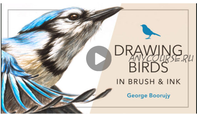 [Сraftsy] Drawing Birds in Brush & Ink. Рисуем птиц кистью и чернилами (George Boorujy)