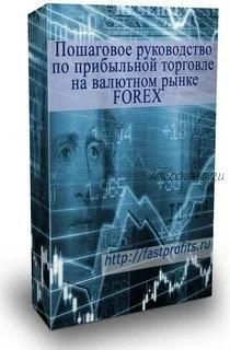 Пошаговое руководство по прибыльной торговле на валютном рынке FOREX