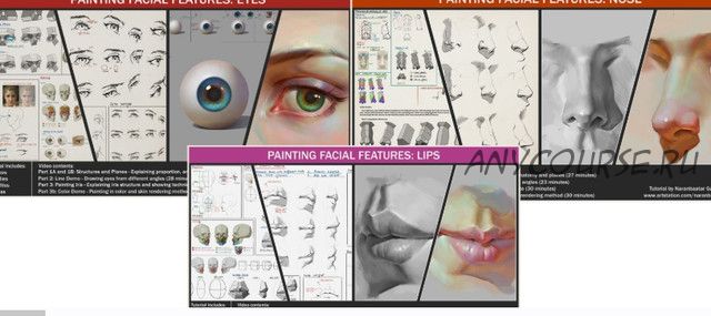 Painting facial features: Bundle. Рисуем портрет в Photoshop (Naranbatar Gannbold)