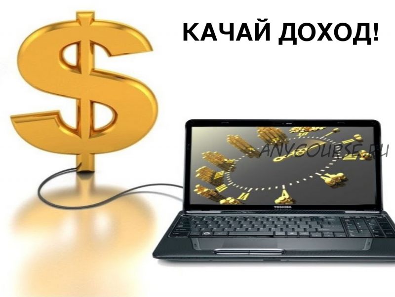 0.01 $ в секунду. Программа заработка высокого уровня (Владимир Талинин)