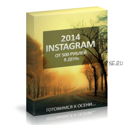 Instagram от 500 рублей в день, 2014