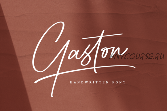 [Creativefabrica] Gaston Font (Moove Studio)