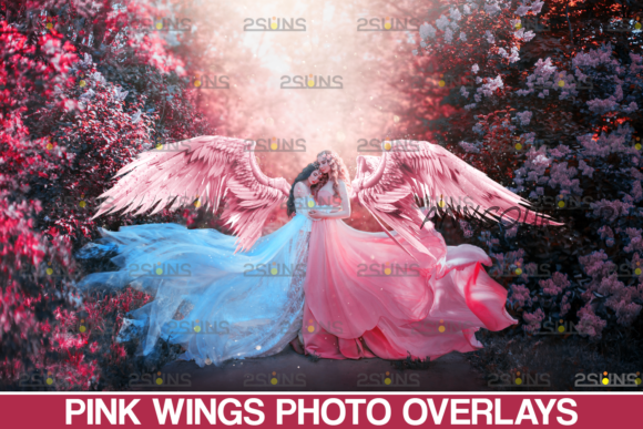 [Creativefabrica] Pink Angel Wings Overlay (2SUNS)