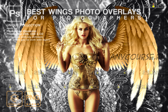 [Сreativefabrica] Gold Angel Wings Overlay & Angel Wings. Золотые крылья и наложения (2SUNS)