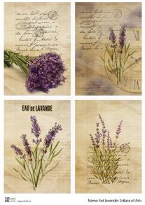 Set lavender 2